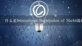 什么是International Registration of Marks简称IRM制度下的主要优势和劣势？