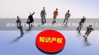 商标侵权案件侵犯两种商标的量刑标准是什么