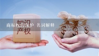 商标权的保护 名词解释