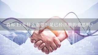 商标上r是什么意思？是已经注册的意思吗？