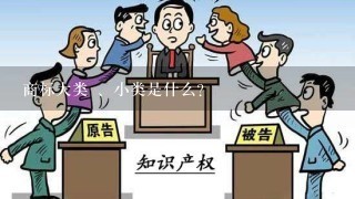 商标大类 、小类是什么？