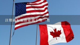 注册商标旅游业属于哪1类