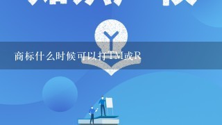 商标什么时候可以打TM或R