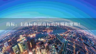 尚标：主商标和副商标的区别和使用？