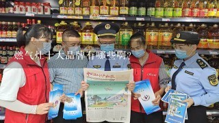 燃气灶十大品牌有哪些啊？