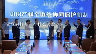 元气森林是1个什么品牌？