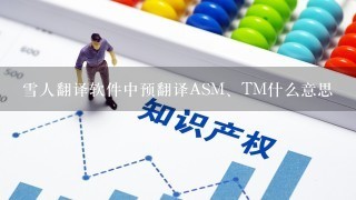 雪人翻译软件中预翻译ASM、TM什么意思