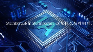 Steinberg还是Sterinborgh 这是什么品牌钢琴，中国的和德国的商标完全不1样?