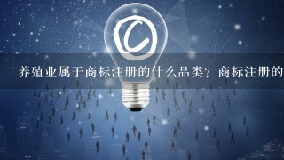 养殖业属于商标注册的什么品类？商标注册的分类（45类）都是什么？