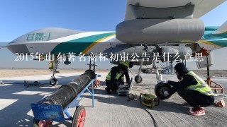 2015年山东著名商标初审公告是什么意思