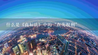 什么是《商标法》中的“在先权利”