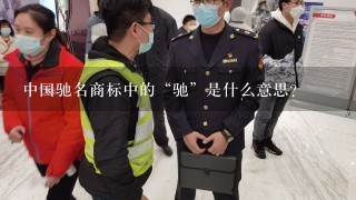 中国驰名商标中的“驰”是什么意思？