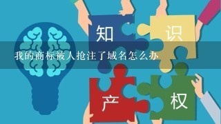 我的商标被人抢注了域名怎么办