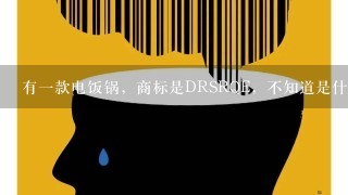 有1款电饭锅，商标是DRSRQE，不知道是什么品牌？