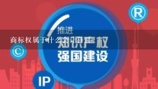 商标权属于什么会计科目