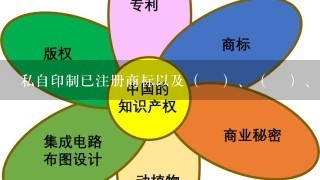 私自印制已注册商标以及（ ）、（ ）、（ ），假冒商品的行为均已构成犯罪。添入括号部分最恰当的1项是（ ）？