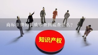 商标注册的实质审查到底查什么？