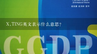 X,TING英文表示什么意思？