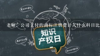 老师，公司支付的商标注册费计入什么科目比较好？