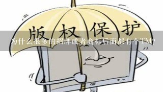 为什么很多的招牌或者商标后面都有个TM？