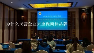 为什么民营企业更重视商标品牌