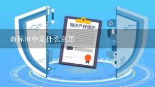 商标审中是什么意思