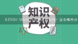 KENZO MAISON注册过商标吗？还有哪些分类可以注册？