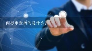 商标审查指的是什么？