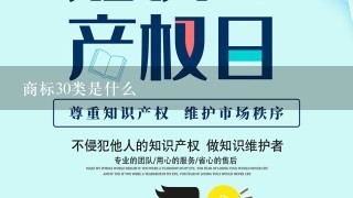 商标30类是什么