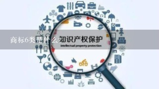 商标6类是什么？