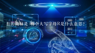 有的商标是 有个大写字母R是什么意思？