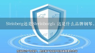 Steinberg还是Sterinborgh 这是什么品牌钢琴，中国的和德国的商标完全不1样?