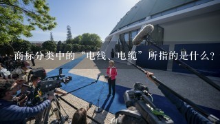 商标分类中的“电线、电缆”所指的是什么？