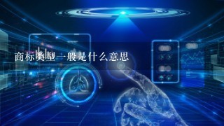 商标类型1般是什么意思