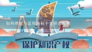 如何理解与适用商标个案审查原则