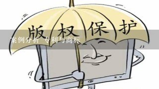 案例分析 专利与商标