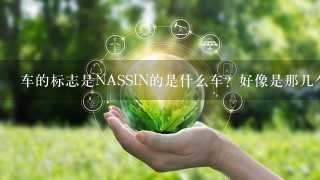 车的标志是NASSIN的是什么车？好像是那几个字母吧