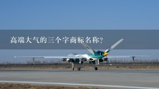 高端大气的3个字商标名称？