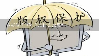 商标的R TM Z是什么意思？