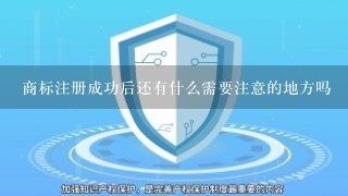 商标注册成功后还有什么需要注意的地方吗