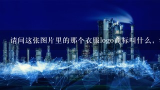 请问这张图片里的那个衣服logo商标叫什么，深蓝紫色那件。