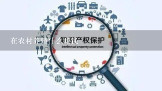 在农村养殖什么赚钱