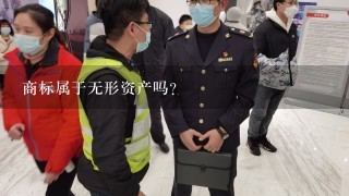 商标属于无形资产吗?