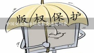 中国央化加油站是私企还是国企