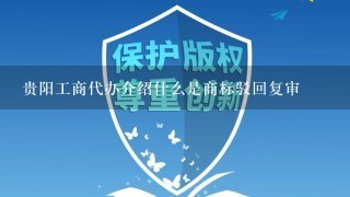 贵阳工商代办介绍什么是商标驳回复审