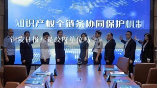 铜陵日报社是政府单位吗