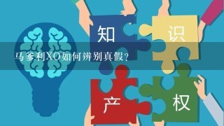 马爹利XO如何辨别真假？