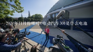 2021年11月份哪吒v电动汽车301是什么电池