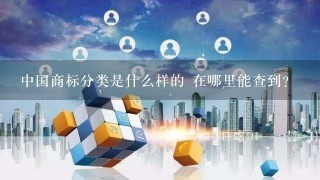 中国商标分类是什么样的 在哪里能查到？