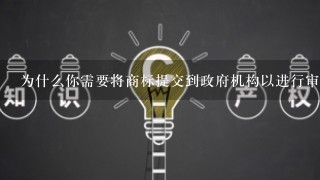 为什么你需要将商标提交到政府机构以进行审批或授权处理时会遇到一些困难？